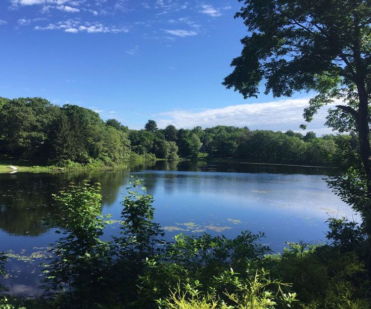 Winter Pond Visit Winchester MA